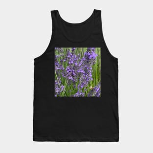 Rest Your Weary Head in a Fragrant Lavender Field Tank Top